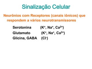 Sinalização Celular
Neurônios com Receptores (canais iônicos) que
 respondem a vários neurotransmissores
     Serotonina      (K+, Na+, Ca2+)
     Glutamato       (K+, Na+, Ca2+)
     Glicina, GABA   (Cl-)
 
