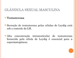 GLÂNDULA SEXUAL MASCULINA
 Testosterona
 Secreção de testosterona pelas células de Leydig está
sob o controle do LH.
 Alta concentração intratesticular de testosterona
fornecida pela célula de Leydig é essencial para a
espermatogênese.
 
