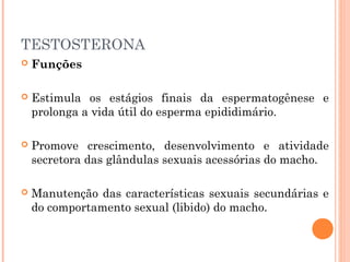 TESTOSTERONA
 Funções
 Estimula os estágios finais da espermatogênese e
prolonga a vida útil do esperma epididimário.
 Promove crescimento, desenvolvimento e atividade
secretora das glândulas sexuais acessórias do macho.
 Manutenção das características sexuais secundárias e
do comportamento sexual (libido) do macho.
 