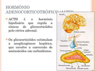 HORMÔNIO
ADENOCORTICOTRÓFICO (ACTH)
 ACTH é o hormônio
hipofisário que regula a
síntese de glicocorticóides
pelo córtex adrenal.
 Os glicocorticóides estimulam
a neoglicogênese hepática,
que envolve a conversão de
aminoácidos em carboidratos.
 