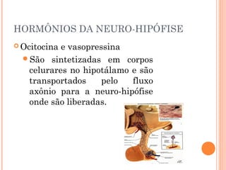 HORMÔNIOS DA NEURO-HIPÓFISE
 Ocitocina e vasopressina
São sintetizadas em corpos
celurares no hipotálamo e são
transportados pelo fluxo
axônio para a neuro-hipófise
onde são liberadas.
 