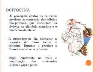 OCITOCINA
 Os principais efeitos da ocitocina
envolvem a contração das células
mioepiteliais, que circundam os
alvéolos na glândula mamária e o
miométrio do útero.
 A progesterona faz decrescer a
resposta do útero frente à
ocitocina. Durante a prenhez o
útero é insensível à ocitocina.
 Papel importante no início e
manutenção das contrações
uterinas para o parto.
 