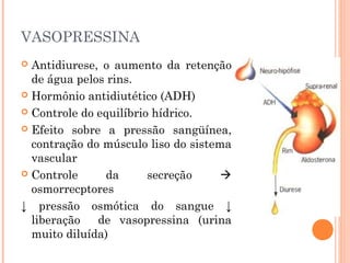 VASOPRESSINA
 Antidiurese, o aumento da retenção
de água pelos rins.
 Hormônio antidiutético (ADH)
 Controle do equilíbrio hídrico.
 Efeito sobre a pressão sangüínea,
contração do músculo liso do sistema
vascular
 Controle da secreção 
osmorrecptores
↓ pressão osmótica do sangue ↓
liberação de vasopressina (urina
muito diluída)
 
