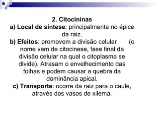 2. Citocininas a) Local de síntese : principalmente no ápice da raiz. b) Efeitos : promovem a divisão celular  (o nome vem de citocinese, fase final da divisão celular na qual o citoplasma se divide). Atrasam o envelhecimento das folhas e podem causar a quebra da dominância apical. c) Transporte : ocorre da raiz para o caule, através dos vasos de xilema. 