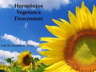 Hormônios
Vegetais e
Fitocromos
Profª Drª Elizabete M J Costa
 