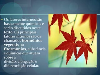  Os fatores internos são
basicamente químicos e
serão discutidos neste
texto. Os principais
fatores internos são os
chamados hormônios
vegetais ou
fitormônios, substância
s químicas que atuam
sobre a
divisão, elongação e
diferenciação celular.
 
