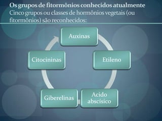 Osgruposdefitormôniosconhecidosatualmente
Cincogruposouclassesde hormôniosvegetais(ou
fitormônios)sãoreconhecidos:
Auxinas
Etileno
Acido
abscísico
Giberelinas
Citocininas
 