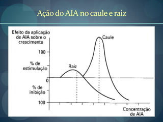 Açãodo AIA nocaulee raiz
 