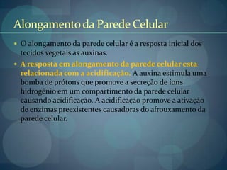 Alongamentoda Parede Celular
 O alongamento da parede celular é a resposta inicial dos
tecidos vegetais às auxinas.
 A resposta em alongamento da parede celular esta
relacionada com a acidificação. A auxina estimula uma
bomba de prótons que promove a secreção de íons
hidrogênio em um compartimento da parede celular
causando acidificação. A acidificação promove a ativação
de enzimas preexistentes causadoras do afrouxamento da
parede celular.
 