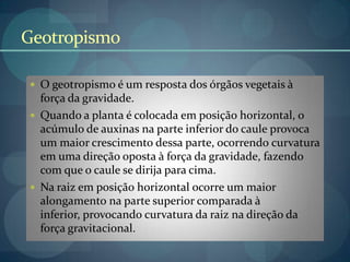 Geotropismo
 O geotropismo é um resposta dos órgãos vegetais à
força da gravidade.
 Quando a planta é colocada em posição horizontal, o
acúmulo de auxinas na parte inferior do caule provoca
um maior crescimento dessa parte, ocorrendo curvatura
em uma direção oposta à força da gravidade, fazendo
com que o caule se dirija para cima.
 Na raiz em posição horizontal ocorre um maior
alongamento na parte superior comparada à
inferior, provocando curvatura da raiz na direção da
força gravitacional.
 