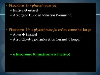  Fitocromo Pr = phytochrome red
 Inativo  estável
 Absorção  660 nanômetros (Vermelho)
 Fitocromo Pfr = phytochrome far red ou vermelho longo
 Ativo  instável
 Absorção  730 nanômetros (vermelho longo)
 o fitocromo R (inativo) e o F (ativo)
 