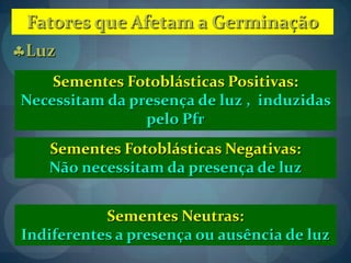 Fatores que Afetam a Germinação
Luz
Sementes Fotoblásticas Positivas:
Necessitam da presença de luz , induzidas
pelo Pfr
Sementes Fotoblásticas Negativas:
Não necessitam da presença de luz
Sementes Neutras:
Indiferentes a presença ou ausência de luz
 