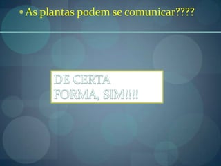  As plantas podem se comunicar????
 