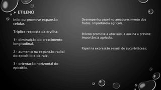  ETILENO
Inibi ou promove expansão
celular.
Tríplice resposta da ervilha:
1- diminuição do crescimento
longitudinal.
2- aumento na expansão radial
do epicótilo e da raiz.
3- orientação horizontal do
epicótilo.
Desempenha papel no amadurecimento dos
frutos; Importância agrícola.
Etileno promove a abscisão, a auxina a previne;
Importância agrícola.
Papel na expressão sexual de cucurbitáceas;
 