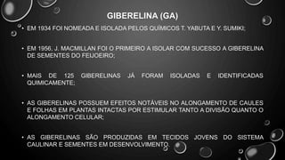 GIBERELINA (GA)
• EM 1934 FOI NOMEADA E ISOLADA PELOS QUÍMICOS T. YABUTA E Y. SUMIKI;
• EM 1956, J. MACMILLAN FOI O PRIMEIRO A ISOLAR COM SUCESSO A GIBERELINA
DE SEMENTES DO FEIJOEIRO;
• MAIS DE 125 GIBERELINAS JÁ FORAM ISOLADAS E IDENTIFICADAS
QUIMICAMENTE;
• AS GIBERELINAS POSSUEM EFEITOS NOTÁVEIS NO ALONGAMENTO DE CAULES
E FOLHAS EM PLANTAS INTACTAS POR ESTIMULAR TANTO A DIVISÃO QUANTO O
ALONGAMENTO CELULAR;
• AS GIBERELINAS SÃO PRODUZIDAS EM TECIDOS JOVENS DO SISTEMA
CAULINAR E SEMENTES EM DESENVOLVIMENTO.
 