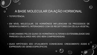 A BASE MOLECULAR DA AÇÃO HORMONAL
• TOTIPOTÊNCIA;
• EM NÍVEL MOLECULAR, OS HORMÔNIOS INFLUENCIAM OS PROCESSOS DE
DESENVOLVIMENTO, INTERAGINDO COM OS RECEPTORES DA CÉLULA VEGETAL;
• O MECANISMO PELOS QUAIS OS HORMÔNIOS ALTERAM A EXTENSIBILIDADE DAS
PAREDES CELULARES NÃO SÃO BEM COMPREENDIDAS;
• DUAS HIPÓTESES SÃO ATUALMENTE CONHECIDAS: CRESCIMENTO ÁCIDO E
EXPRESSÃO DE GENES ESPECÍFICOS;
 