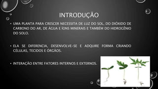 INTRODUÇÃO
• UMA PLANTA PARA CRESCER NECESSITA DE LUZ DO SOL, DO DIÓXIDO DE
CARBONO DO AR, DE ÁGUA E ÍONS MINERAIS E TAMBÉM DO HIDROGÊNIO
DO SOLO.
• ELA SE DIFERENCIA, DESENVOLVE-SE E ADQUIRE FORMA CRIANDO
CÉLULAS, TECIDOS E ÓRGÃOS.
• INTERAÇÃO ENTRE FATORES INTERNOS E EXTERNOS.
 