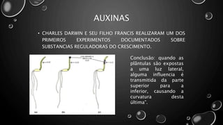 AUXINAS
• CHARLES DARWIN E SEU FILHO FRANCIS REALIZARAM UM DOS
PRIMEIROS EXPERIMENTOS DOCUMENTADOS SOBRE
SUBSTANCIAS REGULADORAS DO CRESCIMENTO.
Conclusão: quando as
plântulas são expostas
a uma luz lateral,
alguma influencia é
transmitida da parte
superior para a
inferior, causando a
curvatura desta
última”.
 