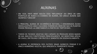 • EM 1926, FRITS WENT ISOLOU ESSA “INFLUENCIA” DO ÁPICE DE UMA
PLÂNTULA DE AVEIA E A CHAMOU DE AUXINA, DO GREGO AUXEIN, QUE
SIGNIFICA “CRESCER”.
• A PRINCIPAL AUXINA DE OCORRÊNCIA NATURAL É DENOMINADA ÁCIDO
INDOLILACÉTICO (AIA) E ALGUMAS EVIDENCIAS INDICAM QUE AS PLANTAS
PODEM PRODUZI-LA DIRETAMENTE A PARTIR DO TRIPTOFANO.
• TODOS OS TECIDOS VEGETAIS SÃO CAPAZES DE PRODUZIR NÍVEIS BAIXOS
DE AIA, MAS ELE É SINTETIZADO PRINCIPALMENTE NO MERISTEMA APICAL
DE CAULE, EM FOLHAS E EM FRUTOS E SEMENTES EM DESENVOLVIMENTO.
• A AUXINA SE DIFERENCIA DOS OUTROS SINAIS QUÍMICOS PORQUE É O
ÚNICO HORMÔNIO VEGETAL QUE APRESENTA TRANSPORTE POLAR.
AUXINAS
 