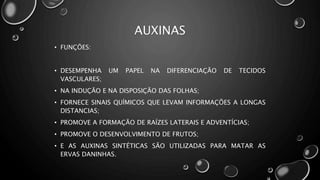 • FUNÇÕES:
• DESEMPENHA UM PAPEL NA DIFERENCIAÇÃO DE TECIDOS
VASCULARES;
• NA INDUÇÃO E NA DISPOSIÇÃO DAS FOLHAS;
• FORNECE SINAIS QUÍMICOS QUE LEVAM INFORMAÇÕES A LONGAS
DISTANCIAS;
• PROMOVE A FORMAÇÃO DE RAÍZES LATERAIS E ADVENTÍCIAS;
• PROMOVE O DESENVOLVIMENTO DE FRUTOS;
• E AS AUXINAS SINTÉTICAS SÃO UTILIZADAS PARA MATAR AS
ERVAS DANINHAS.
AUXINAS
 