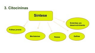 3. Citocininas
Síntese
Folhas jovens
Meristemas Raízes Galhas
Embriões em
desenvolvimento
 