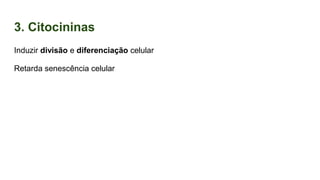 3. Citocininas
Induzir divisão e diferenciação celular
Retarda senescência celular
 