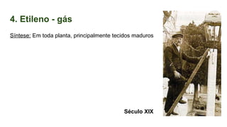 4. Etileno - gás
Século XIX
Síntese: Em toda planta, principalmente tecidos maduros
 