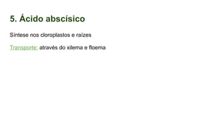 5. Ácido abscísico
Síntese nos cloroplastos e raízes
Transporte: através do xilema e floema
 