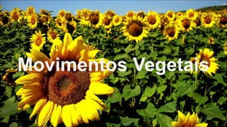 Movimentos Vegetais
 