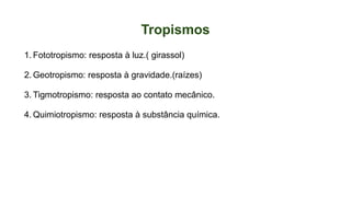Tropismos
1. Fototropismo: resposta à luz.( girassol)
2. Geotropismo: resposta à gravidade.(raízes)
3. Tigmotropismo: resposta ao contato mecânico.
4. Quimiotropismo: resposta à substância química.
 
