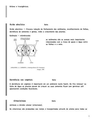 Etileno e transgênicos.




Ácido abscísico                            Data

Ácido abscísico → Provoca indução do fechamento dos estômatos, envelhecimento de folhas,
dormência de sementes e gemas, inibe o crescimento das plantas.

Estômato – relembrando:

                                            os estômatos são os anexos mais importantes
                                            relacionados com a troca de gases e água entre
                                            as folhas e o meio.




Dormência nos vegetais                            Data

A dormência em vegetais é importante em um ambiente muito hostil. No frio intenso/ na
falta de água as plantas param de crescer ou suas sementes ficam sem germinar até
aparecerem condições favoráveis.




     Citocininas                                  Data

estimula a divisão celular (citocinese).

As citocininas são produzidas nas raízes e transportadas através do xilema para todas as


                                                                                             3
 