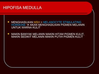 HIPOFISA MEDULLA


    MENGHASILKAN MSH = MELANOCYTE STIMULATING
     HORMONE  AKAN MENGHASILKAN PIGMEN MELANIN
     UNTUK WARNA KULIT

    MAKIN BANYAK MELANIN MAKIN HITAM PIGMEN KULIT,
     MAKIN SEDIKIT MELANIN MAKIN PUTIH PIGMEN KULIT
 