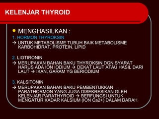 KELENJAR THYROID

  MENGHASILKAN        :
 1. HORMON THYROKSIN
  UNTUK METABOLISME TUBUH BAIK METABOLISME
    KARBOHIDRAT, PROTEIN, LIPID

 2. LIOTIRONIN
  MERUPAKAN BAHAN BAKU THYROKSIN DGN SYARAT
    HARUS ADA ION IODIUM  DEKAT LAUT ATAU HASIL DARI
    LAUT  IKAN, GARAM YG BERIODIUM

 3. KALSITONIN
  MERUPAKAN BAHAN BAKU PEMBENTUKKAN
    PARATHORMON YANG JUGA DISEKRESIKAN OLEH
    KELENJAR PARATHYROID  BERFUNGSI UNTUK
    MENGATUR KADAR KALSIUM (ION Ca2+) DALAM DARAH
 