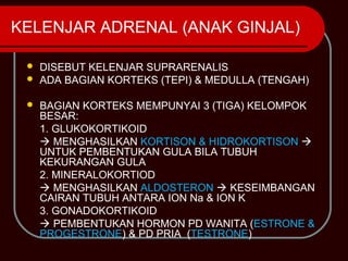 KELENJAR ADRENAL (ANAK GINJAL)

  DISEBUT KELENJAR SUPRARENALIS
  ADA BAGIAN KORTEKS (TEPI) & MEDULLA (TENGAH)


    BAGIAN KORTEKS MEMPUNYAI 3 (TIGA) KELOMPOK
     BESAR:
     1. GLUKOKORTIKOID
      MENGHASILKAN KORTISON & HIDROKORTISON 
     UNTUK PEMBENTUKAN GULA BILA TUBUH
     KEKURANGAN GULA
     2. MINERALOKORTIOD
      MENGHASILKAN ALDOSTERON  KESEIMBANGAN
     CAIRAN TUBUH ANTARA ION Na & ION K
     3. GONADOKORTIKOID
      PEMBENTUKAN HORMON PD WANITA (ESTRONE &
     PROGESTRONE) & PD PRIA (TESTRONE)
 