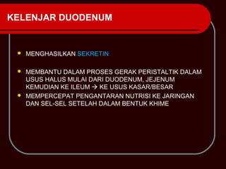 KELENJAR DUODENUM


    MENGHASILKAN SEKRETIN

  MEMBANTU DALAM PROSES GERAK PERISTALTIK DALAM
   USUS HALUS MULAI DARI DUODENUM, JEJENUM
   KEMUDIAN KE ILEUM  KE USUS KASAR/BESAR
  MEMPERCEPAT PENGANTARAN NUTRISI KE JARINGAN
   DAN SEL-SEL SETELAH DALAM BENTUK KHIME
 