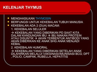 KELENJAR THYMUS

  MENGHASILKAN THYMOSIN
  BERFUNGSI UNTUK KEKEBALAN TUBUH MANUSIA
  KEKEBALAN ADA 2 (DUA) MACAM:
   1. KEKEBALAN SELULER
    KEKEBALAN YANG DIBERIKAN PD SAAT KITA
   DALAM KANDUNGAN IBU  IBU MAKAN PROTEIN
   ATAU DISUNTIK  AKAN TERBENTUK ANTIBODI YANG
   AKAN DIBERIKAN KE ANAK SHG ANAK MENJADI
   KEBAL
   2. KEKEBALAN HUMORAL
    KEKEBALAN YANG DIBERIKAN SETELAH ANAK
   DILAHIRKAN MELALUI VAKSINASI/IMUNISASI BCG; DPT
   , POLIO, CAMPAK, RUBELLA, HEPATITIS
 