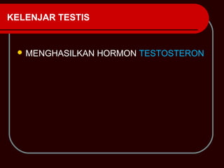 KELENJAR TESTIS


  MENGHASILKAN   HORMON TESTOSTERON
 