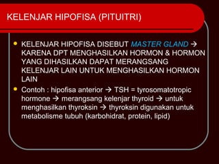 KELENJAR HIPOFISA (PITUITRI)

    KELENJAR HIPOFISA DISEBUT MASTER GLAND 
     KARENA DPT MENGHASILKAN HORMON & HORMON
     YANG DIHASILKAN DAPAT MERANGSANG
     KELENJAR LAIN UNTUK MENGHASILKAN HORMON
     LAIN
    Contoh : hipofisa anterior  TSH = tyrosomatotropic
     hormone  merangsang kelenjar thyroid  untuk
     menghasilkan thyroksin  thyroksin digunakan untuk
     metabolisme tubuh (karbohidrat, protein, lipid)
 
