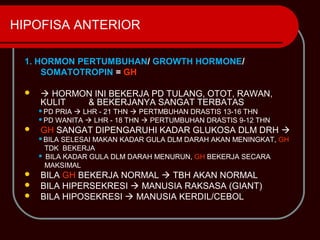 HIPOFISA ANTERIOR

 1. HORMON PERTUMBUHAN/ GROWTH HORMONE/
     SOMATOTROPIN = GH

     HORMON INI BEKERJA PD TULANG, OTOT, RAWAN,
     KULIT  & BEKERJANYA SANGAT TERBATAS
     PD PRIA  LHR - 21 THN  PERTMBUHAN DRASTIS 13-16 THN
     PD WANITA  LHR - 18 THN  PERTUMBUHAN DRASTIS 9-12 THN

    GH SANGAT DIPENGARUHI KADAR GLUKOSA DLM DRH 
     BILA SELESAI MAKAN KADAR GULA DLM DARAH AKAN MENINGKAT, GH
      TDK BEKERJA
      BILA KADAR GULA DLM DARAH MENURUN, GH BEKERJA SECARA

      MAKSIMAL
    BILA GH BEKERJA NORMAL  TBH AKAN NORMAL
    BILA HIPERSEKRESI  MANUSIA RAKSASA (GIANT)
    BILA HIPOSEKRESI  MANUSIA KERDIL/CEBOL
 