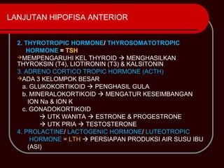 LANJUTAN HIPOFISA ANTERIOR


  2. THYROTROPIC HORMONE/ THYROSOMATOTROPIC
     HORMONE = TSH
  MEMPENGARUHI KEL THYROID  MENGHASILKAN
  THYROKSIN (T4), LIOTIRONIN (T3) & KALSITONIN
  3. ADRENO CORTICO TROPIC HORMONE (ACTH)
  ADA 3 KELOMPOK BESAR
    a. GLUKOKORTIKOID  PENGHASIL GULA
    b. MINERALOKORTIKOID  MENGATUR KESEIMBANGAN
      ION Na & ION K
    c. GONADOKORTIKOID
           UTK WANITA  ESTRONE & PROGESTRONE
           UTK PRIA  TESTOSTERONE
  4. PROLACTINE/ LACTOGENIC HORMONE/ LUTEOTROPIC
       HORMONE = LTH  PERSIAPAN PRODUKSI AIR SUSU IBU
      (ASI)
 