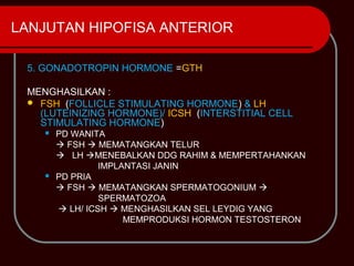 LANJUTAN HIPOFISA ANTERIOR

 5. GONADOTROPIN HORMONE =GTH

 MENGHASILKAN :
  FSH (FOLLICLE STIMULATING HORMONE) & LH
   (LUTEINIZING HORMONE)/ ICSH (INTERSTITIAL CELL
   STIMULATING HORMONE)
       PD WANITA
         FSH  MEMATANGKAN TELUR
         LH MENEBALKAN DDG RAHIM & MEMPERTAHANKAN
                 IMPLANTASI JANIN
       PD PRIA
         FSH  MEMATANGKAN SPERMATOGONIUM 
                 SPERMATOZOA
         LH/ ICSH  MENGHASILKAN SEL LEYDIG YANG
                      MEMPRODUKSI HORMON TESTOSTERON
 