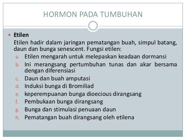 Hormon Pada Manusia