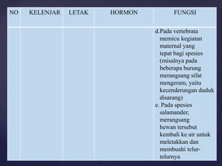 NO KELENJAR LETAK HORMON FUNGSI
d.Pada vertebrata
memicu kegiatan
maternal yang
tepat bagi spesies
(misalnya pada
beberapa burung
merangsang sifat
mengeram, yaitu
kecenderungan duduk
disarang)
e. Pada spesies
salamander,
merangsang
hewan tersebut
kembali ke air untuk
meletakkan dan
membuahi telur-
telurnya
 