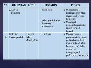 NO KELENJAR LETAK HORMON FUNGSI
c. Lobus
Posterior
- Oksitosin
- ADH (antidiuretic
hormon)/
vasopresin
a. Merangsang
kontraksi otot pada
uterus saat proses
kelahiran
a. Mencegah
pembentukan urine
dalam jumlah
banyak
2.
Kelenjar
Tiroid/gondok
Daerah
leher
dekat jakun
- Tiroksin a. Mempengaruhi
proses metabolisme,
pertumbuhan fisik,
menurunkan kadar
kalsium (Ca) dalam
darah, dan
mempengaruhi
perkembangan mental
 