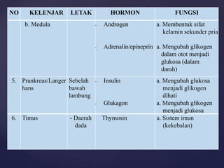 NO KELENJAR LETAK HORMON FUNGSI
b. Medula - Androgen
- Adrenalin/epineprin
a. Membentuk sifat
kelamin sekunder pria
a. Mengubah glikogen
dalam otot menjadi
glukosa (dalam
darah)
5. Prankreas/Langer
hans
Sebelah
bawah
lambung
- Insulin
- Glukagon
a. Mengubah glukosa
menjadi glikogen
dihati
a. Mengubah glikogen
menjadi glukosa
6. Timus - Daerah
dada
Thymosin a. Sistem imun
(kekebalan)
 