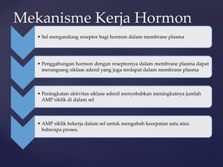 • Sel mengandung reseptor bagi hormon dalam membrane plasma
• Penggabungan hormon dengan reseptornya dalam membrane plasma dapat
merangsang siklase adenil yang juga terdapat dalam membrane plasma
• Peningkatan aktivitas siklase adenil menyebabkan meningkatnya jumlah
AMP siklik di dalam sel
• AMP siklik bekerja dalam sel untuk mengubah kecepatan satu atau
beberapa proses.
Mekanisme Kerja Hormon
 