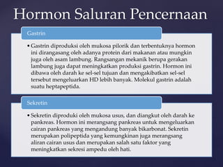 •Gastrin diproduksi oleh mukosa pilorik dan terbentuknya hormon
ini dirangasang oleh adanya protein dari makanan atau mungkin
juga oleh asam lambung. Rangsangan mekanik berupa gerakan
lambung juga dapat meningkatkan produksi gastrin. Hormon ini
dibawa oleh darah ke sel-sel tujuan dan mengakibatkan sel-sel
tersebut mengeluarkan HD lebih banyak. Molekul gastrin adalah
suatu heptapeptida.
Gastrin
•Sekretin diproduki oleh mukosa usus, dan diangkut oleh darah ke
pankreas. Hormon ini merangsang pankreas untuk mengeluarkan
cairan pankreas yang mengandung banyak bikarbonat. Sekretin
merupakan polipeptida yang kemungkinan juga merangsang
aliran cairan usus dan merupakan salah satu faktor yang
meningkatkan sekresi ampedu oleh hati.
Sekretin
Hormon Saluran Pencernaan
 