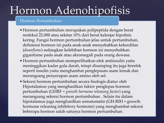 •Hormon pertumbuhan merupakan polipeptida dengan berat
molekul 22.000 atau sekitar 10% dari berat kelenjar hipofisis
kering. Fungsi hormon pertumbuhan jelas untuk pertumbuhan,
defisiensi hormon ini pada anak-anak menyebabkan kekerdilan
(dwarfisme) sedangkan kelebihan hormon ini menyebabkan
gigantisme pada anak atau akromegali pada orang dewasa.
•Hormon pertumbuhan memperlihatkan efek antiinsulin yaitu
meninggikan kadar gula darah, tetapi disamping itu juga berefek
seperti insulin yaitu menghambat penglepasan asam lemak dan
merangsang penyerapan asam amino oleh sel.
•Sekresi hormon pertumbuhan secara fisologis diatur oleh
Hipotalamus yang menghasilkan faktor penglepas hormon
pertumbuhan (GHRF = growth hormone releasing factor) yang
merangsang sekresi hormon pertumbuhan . Selain itu dalam
hipotalamus juga menghasilkan somatostatin (GH-RIH = growth
hormone releasing inhibitory hormone) yang menghambat sekresi
beberapa hormon salah satunya hormon pertumbuhan.
Hormon Pertumbuhan
Hormon Adenohipofisis
 