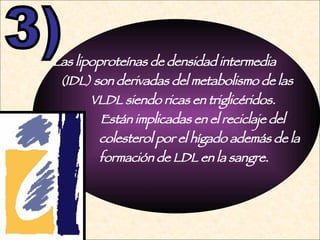 Las lipoproteínas de densidad intermedia    (IDL) son derivadas del metabolismo de las    VLDL siendo ricas en triglicéridos. Están implicadas en el reciclaje del  colesterol por el hígado además de la  formación de LDL en la sangre. 3) 