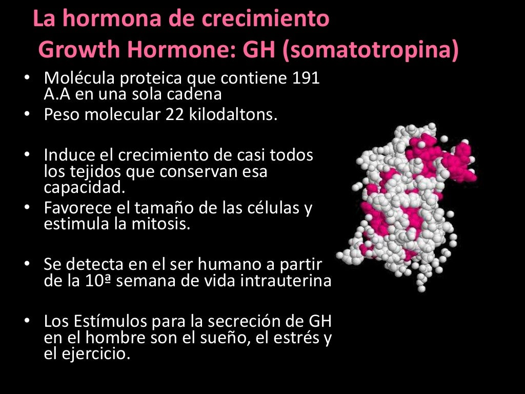 Hormona de crecimiento
